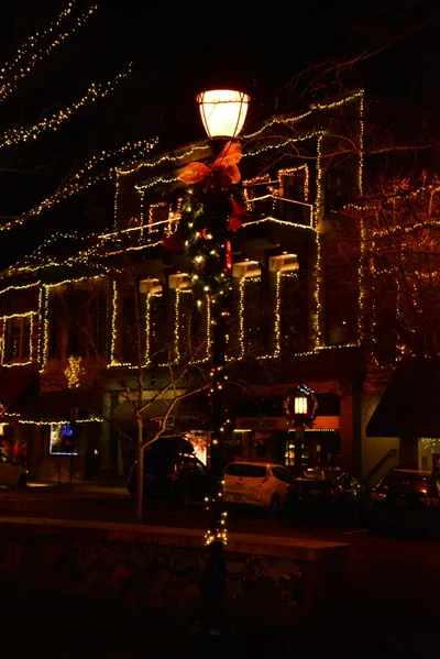 DSC_5868 (Large).JPG